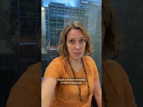 What to know about Nipah virus after cases emerge in India | REUTERS