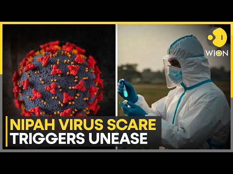 Centre: Only Two Nipah Virus Cases in Bengal | WION News