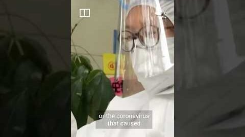 What is Nipah virus and should you be concerned?