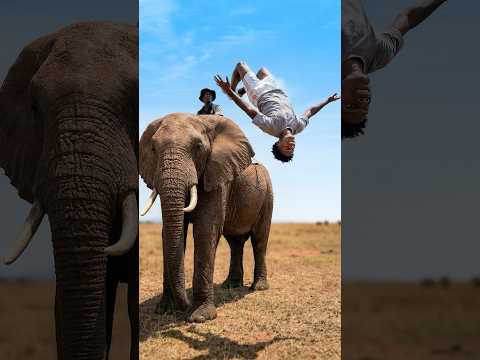 I Backflipped Off Of An ELEPHANT! 🐘🐘