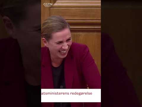 Danish PM has laughing fit over story about an elephant and a camel