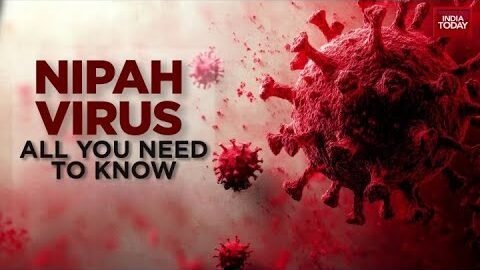 WHO Praises India’s Response To Nipah Virus Case As Situation Remains Under Control | India Today