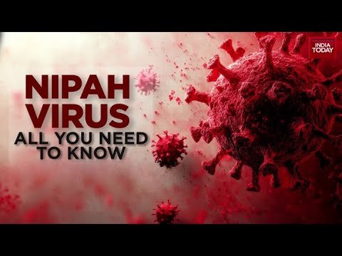 WHO Praises India’s Response To Nipah Virus Case As Situation Remains Under Control | India Today