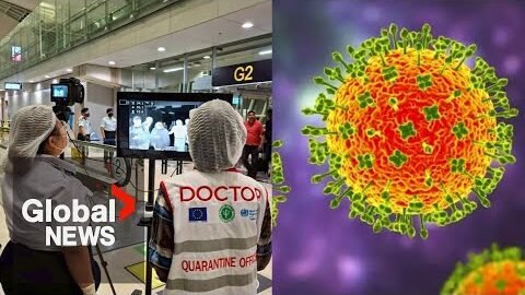 Concerned about Nipah virus? What to know about the infection, how doctors rate risk in Canada