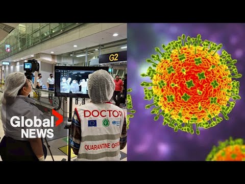 Concerned about Nipah virus? What to know about the infection, how doctors rate risk in Canada