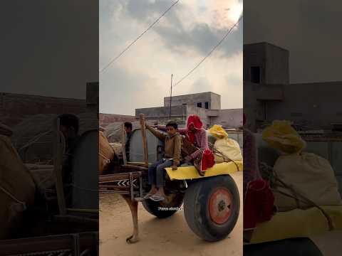 थार रेगिस्थान का ग्रामीण जीवन🥰 #villagelife #winter #life #youtubeshorts #shorts #desi #thar #funny