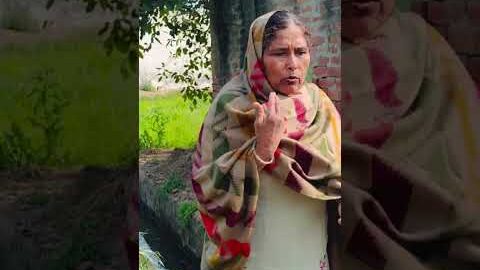 #sidhupunjabtv #shortvideos #punjabishorts #viral #punjabivirsa #punjabi #viralmovie #desi