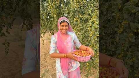 देसी बोर 😍 #desi #village #rajasthan #youtubeshorts #shorts #marwadi #life #indianfood #song