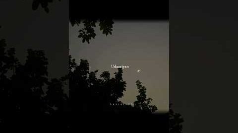 Udaarian – Punjabi song | lyrical Video #music #lyrics #lovesong #punjabisong #aesthetic