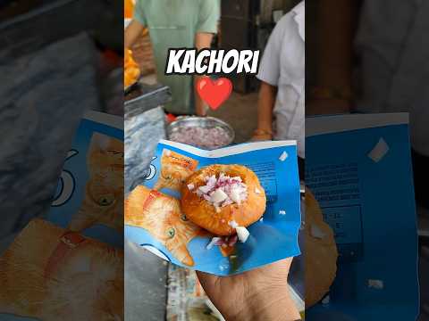 Moong Dal Kachori Rajasthani | Famous Kachori | Street Food of Rajasthan #desi #kachori