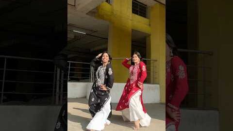 Desi girls ❤️ #dance #dancedelight #danceperformance #dancecover #danceartistry #dancerecital