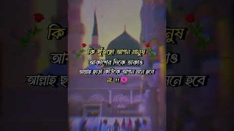 কি খুঁজছো আপন মানুষ আকাশের দিকে থাকাও আল্লাহ ছাড়া কাউকে আপন মনে হবে না #islamicvideo #allah