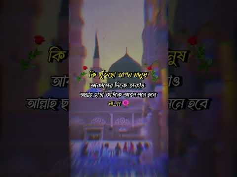 কি খুঁজছো আপন মানুষ আকাশের দিকে থাকাও আল্লাহ ছাড়া কাউকে আপন মনে হবে না #islamicvideo #allah