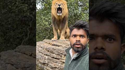 ये जंगल हमारा नहीं था… पूरा सच वीडियो में 🌲😶 Desi to world #shorts#ytshorts#viralshorts
