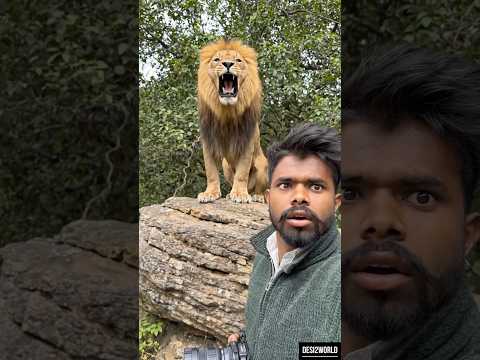 ये जंगल हमारा नहीं था… पूरा सच वीडियो में 🌲😶 Desi to world #shorts#ytshorts#viralshorts