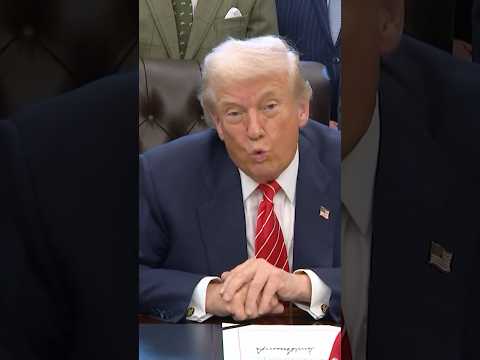 Trump Says Epstein Files Are a Democrat Problem