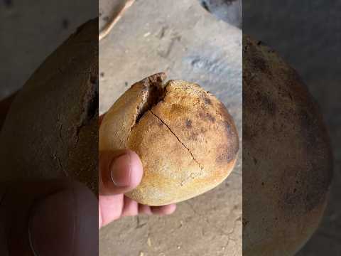 देशी बाटी 😋 #sidhubilona #desi #food