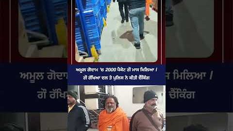 2000 Packets Gau Maans Found in Amul Godown 😱 | Raid News #Shorts