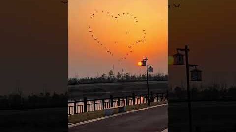 THAA – VARINDER BRAR (Official Video) | Latest Punjabi Songs 2023 | New Punjabi Song 2023