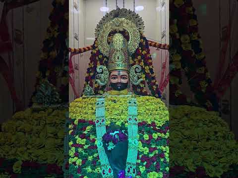 khatushyam#mandir#live darshan#shyam#ai#song#youtubeshorts.