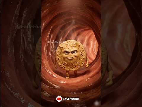 Pet ke andar ka desi drama – Chawal, Poha aur Aalu ka Paratha! 🍚🥣🫓