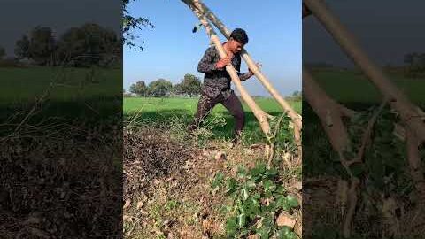 Army training & desi gym 🇮🇳🏋🏻‍♀️#shorts #youtubeshorts