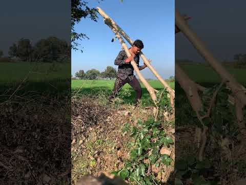 Army training & desi gym 🇮🇳🏋🏻‍♀️#shorts #youtubeshorts