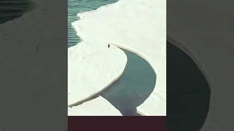 {✓VIEW OF PENGUINS IN ANTARCTICA✓} #india #brazil #egypt #world #viral VIRAL