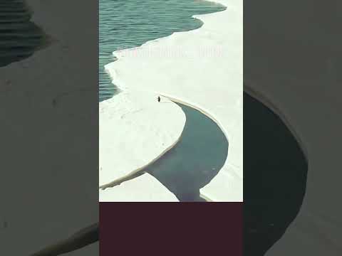 {✓VIEW OF PENGUINS IN ANTARCTICA✓} #india #brazil #egypt #world #viral VIRAL