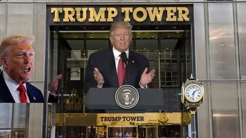 Protest New York City Manhattan NYC America USA ICE President Donald Trump Presidents Day