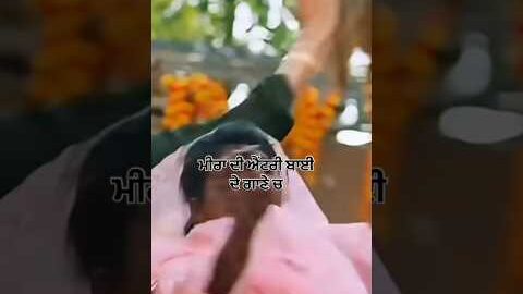 Rnait new song bts video | latest punjabi songs | new punjabi songs #video #viral