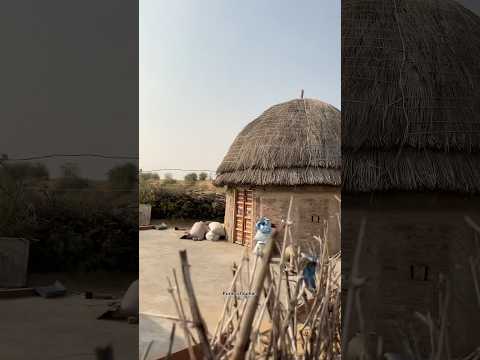 थार रेगिस्थान का अनोखा गांव 🥰 #village #shorts #youtubeshorts #desi #food #home #fyp #border #reels