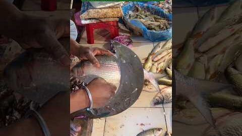 ILISH FISH CUTTING 🐠😂#fish #cuttingskills #ilish #desi #animals #shorts