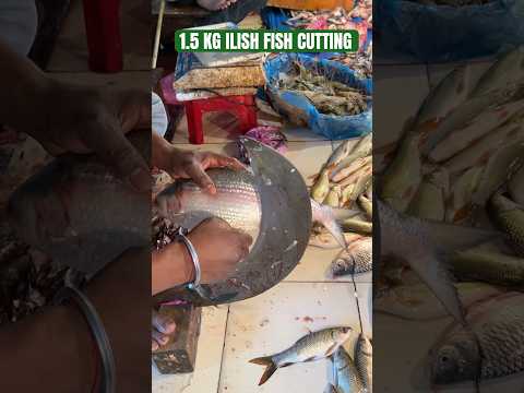 ILISH FISH CUTTING 🐠😂#fish #cuttingskills #ilish #desi #animals #shorts