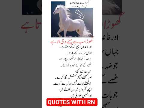 Beautiful Islamic status, Islamic status on Muslim, 4k Islamic status #Islam #allah #ytshort #short