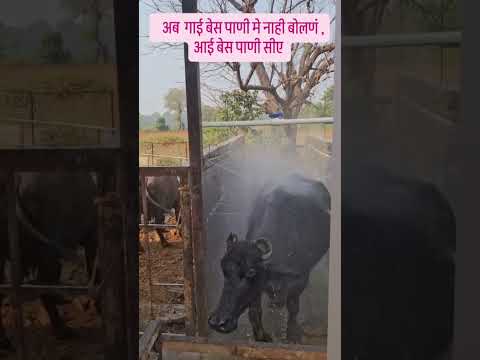 #viralreel #trendimg #desi #villagers