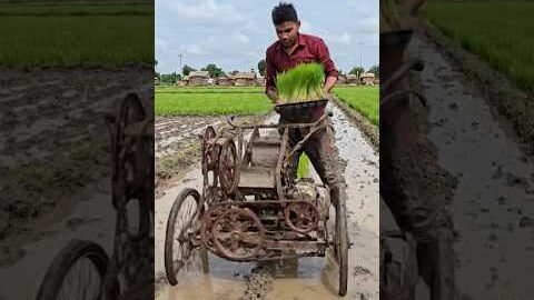 Amazing Desi Jugaad Paddy Transplanting Machine | Low Cost Rice Planting Innovation in Village
