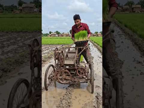 Amazing Desi Jugaad Paddy Transplanting Machine | Low Cost Rice Planting Innovation in Village