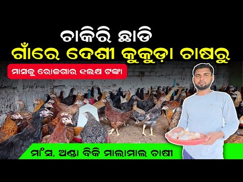 ଦେଶୀ କୁକୁଡ଼ା ଚାଷ 🐓Desi Chicken Farming in Odisha🐓 | Krushak Sathi Odisha
