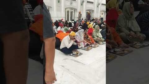 Guru ka langer #viral #trending #motivation #sikhism #sikh #langer #gurudwara #love @BhajanMarg