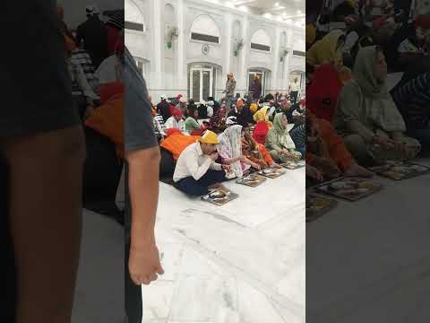 Guru ka langer #viral #trending #motivation #sikhism #sikh #langer #gurudwara #love @BhajanMarg