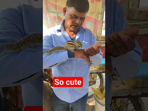 viral reel #viral #trending #live #love #sikh #sikhism #motivational #ytshorts #yt #ytshort #reels