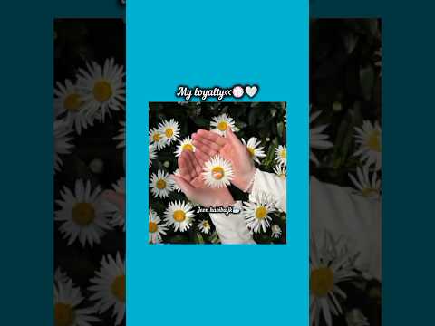 my loyality #bts #shorts #foryou #viralvideo #ytshorts #btsarmyforever