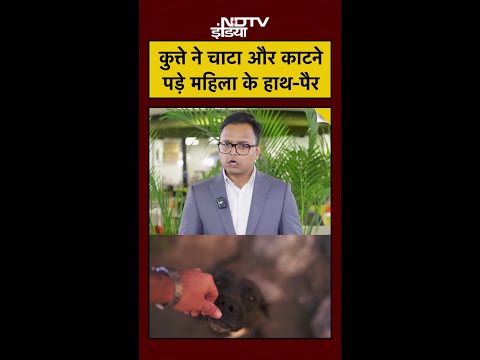 Dog Lick Warning: कुत्ते के चाटने से कटे महिला के हाथ-पैर, Sepsis का खौफनाक सच!