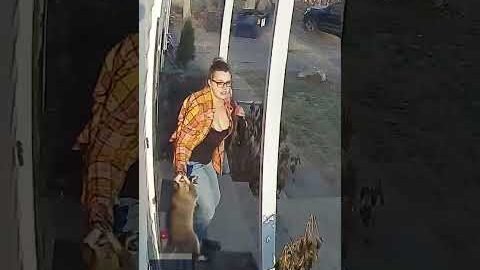 Heroic mom saves terrified five-year-old from raccoon attack | USA TODAY #Shorts