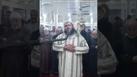 Cat jumps on sheikh leading prayer. See his reaction