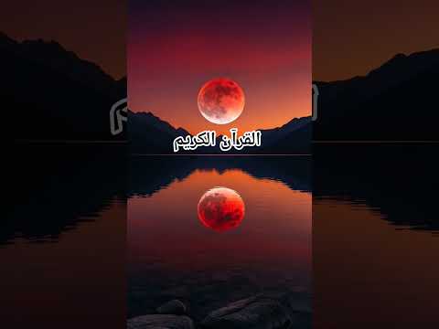 Quran Urdu translation #love #quran #duet #naat #urdu #shorts #motivation #viral #viralvideo #short