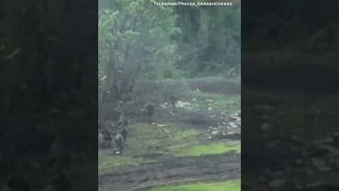 Video shows Russians appearing to flee Ukrainian attack near Bakhmut
