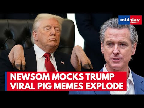 Governor Gavin Newsom TROLLS Potus After “Piggy” Comment Goes Viral | Trump Melts Down On Press