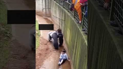 masaAllah nice #video#viral#usa#uk #love#shortvideo#funny#bangla#arabic#india